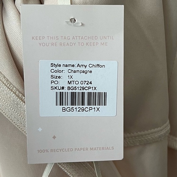 Birdy Grey Champagne Amy Chiffon Bridesmaid Dress Size 1X NWT - Picture 6 of 9